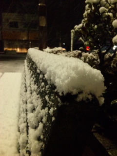 �X�Q�[�X�Q�[