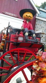 Seaハロきたのに…